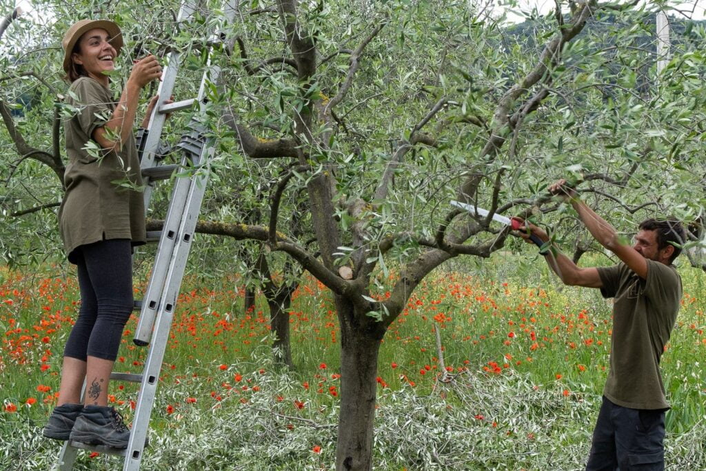 Antoine Leclef,Grasse,Plantes Parfum,Méditerranée,Paysage