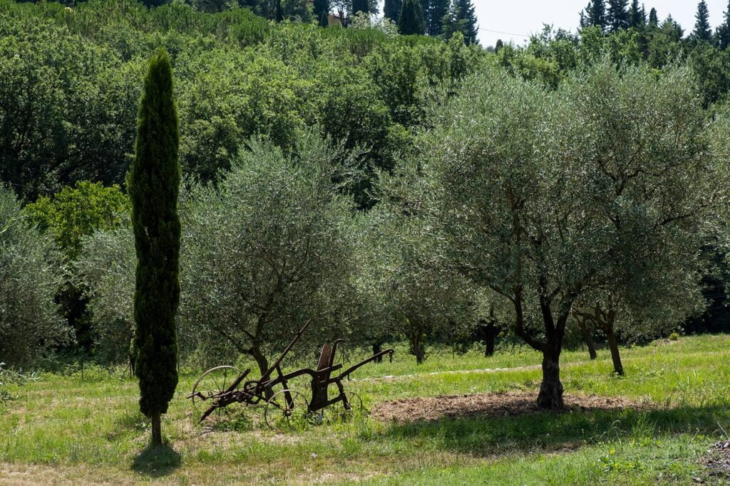 Paysagiste,Agriculteur,Ingénieur,Architecte,Jardins,Paysage,Savoir-Faire