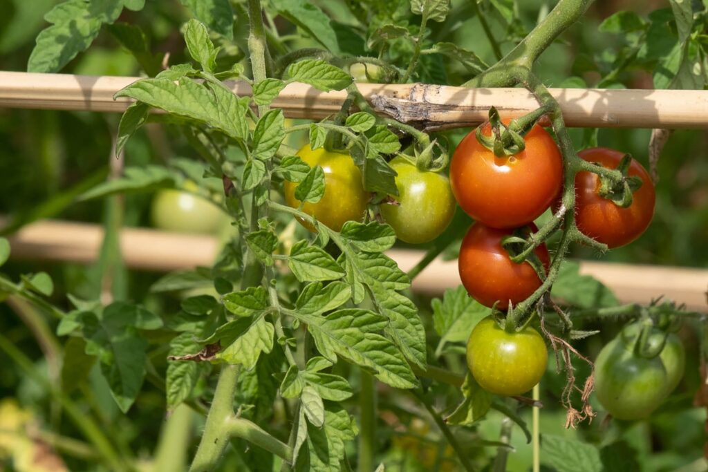 Paysagiste,Agriculteur,Ingénieur,Architecte,Jardins,Paysage,Savoir-Faire