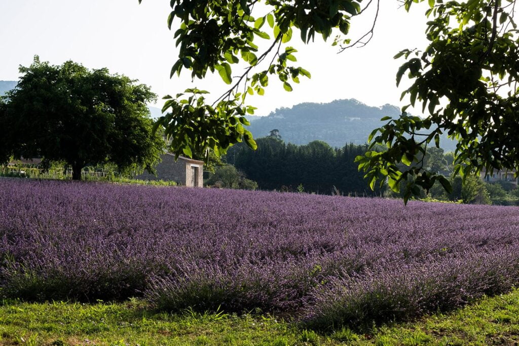 Paysagiste,Agriculteur,Ingénieur,Architecte,Jardins,Paysage,Savoir-Faire